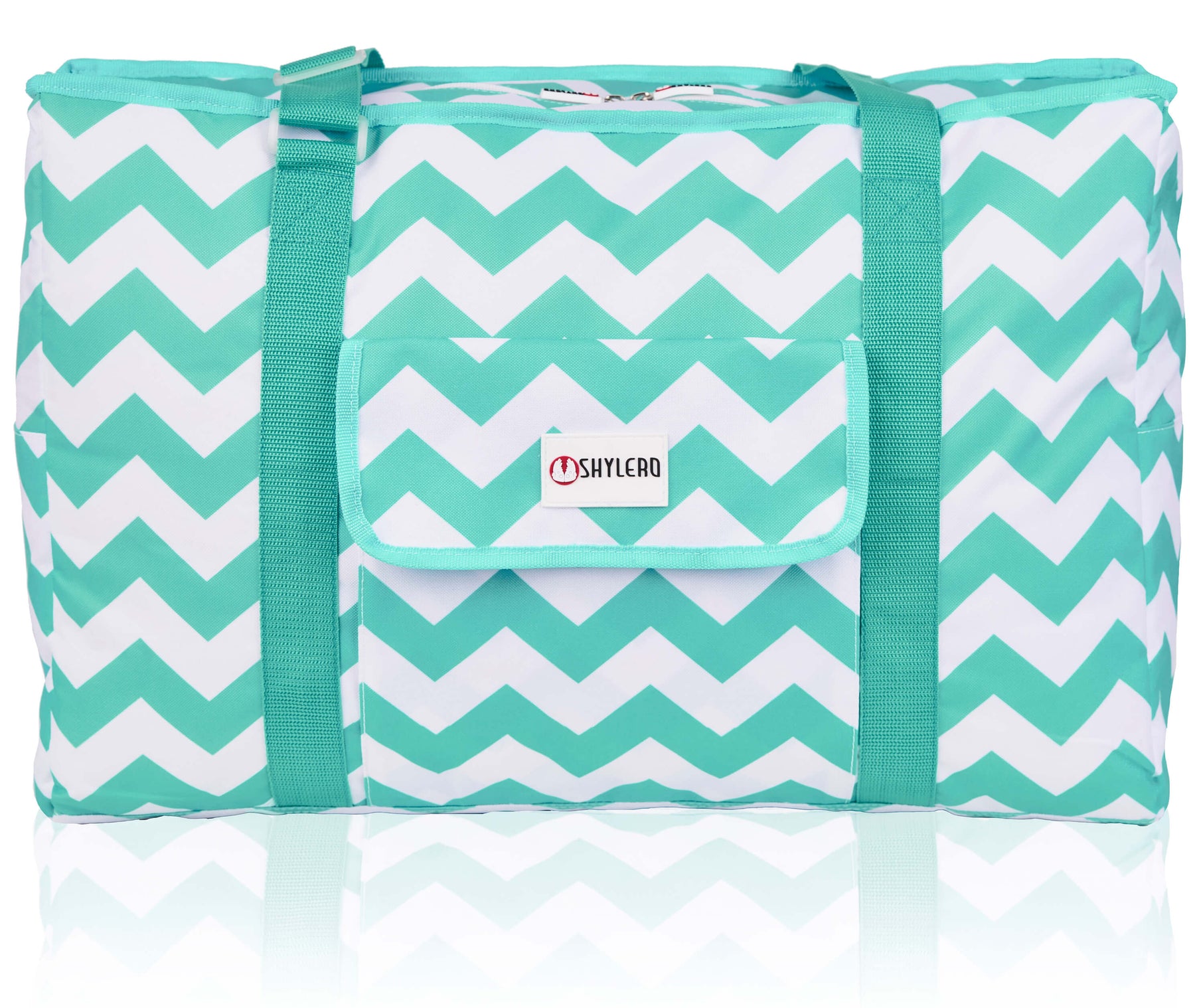 Beach and Pool Bag XL | Waterproof (IP64) | L22" x H15" x W6" (56cm x 38cm x 15cm) | Top YKK® Zip | Turquoise Green Lizard